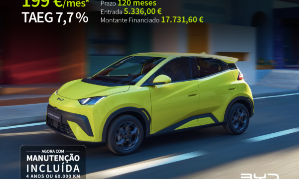 byd dolphin surf