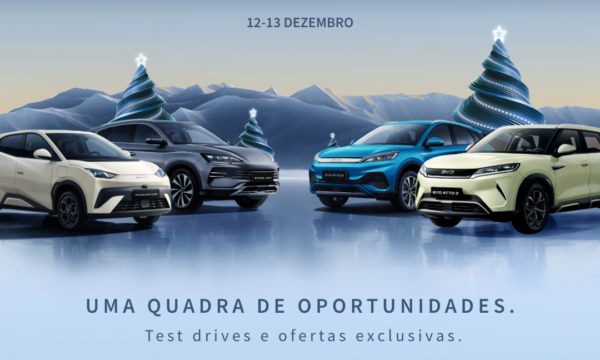 byd xmas sales